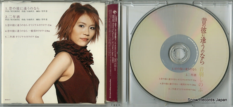 KICM17 disc