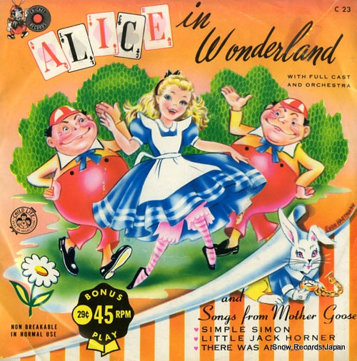 C23 front cover