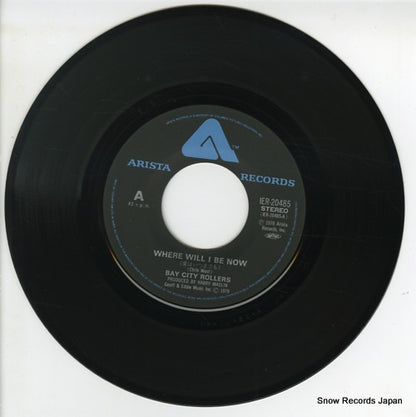 IER-20485 disc