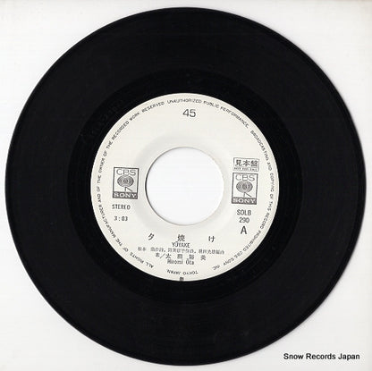 SOLB290 disc