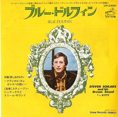 VIP-2490 front cover