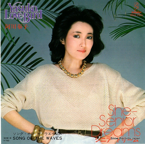 VIHX-1541 front cover