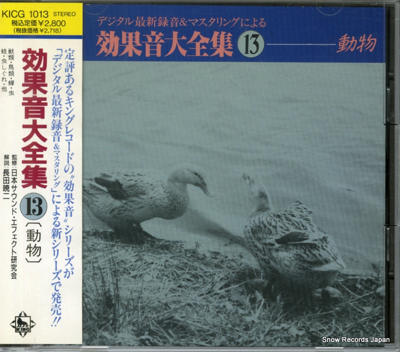 KICG1013 front cover