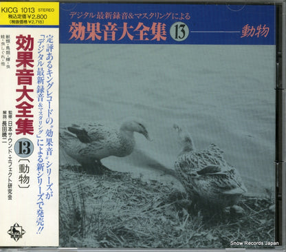 KICG1013 front cover