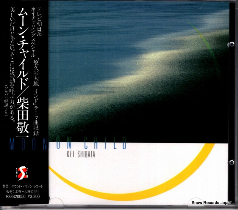 P33S-20050 front cover