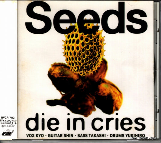 BVCR-703 front cover