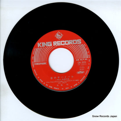 GK-305 disc