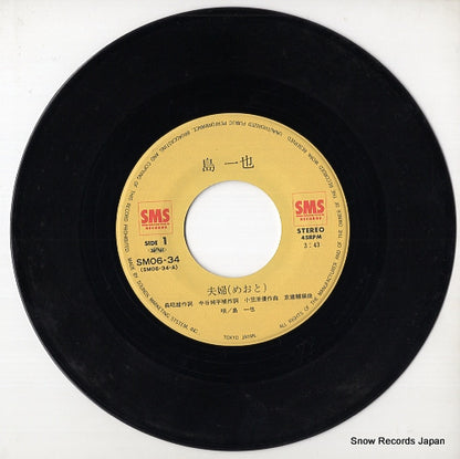 SM06-34 disc
