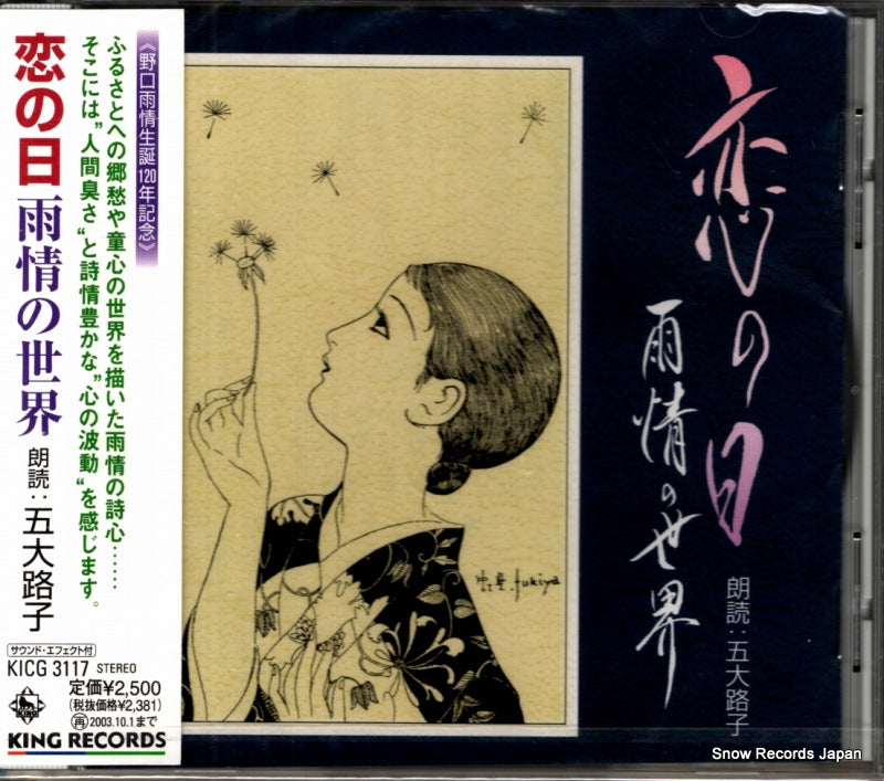 KICG3117 front cover