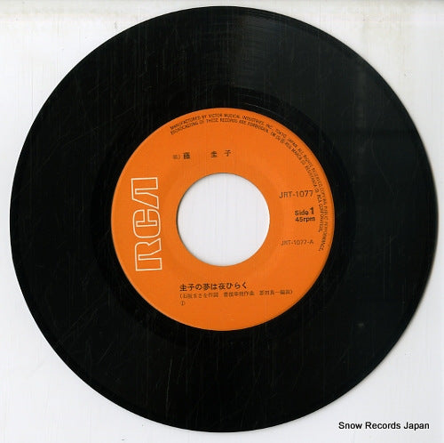 JRT-1077 disc