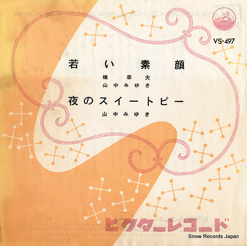 VS-497 front cover
