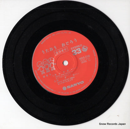 NDS-256 disc