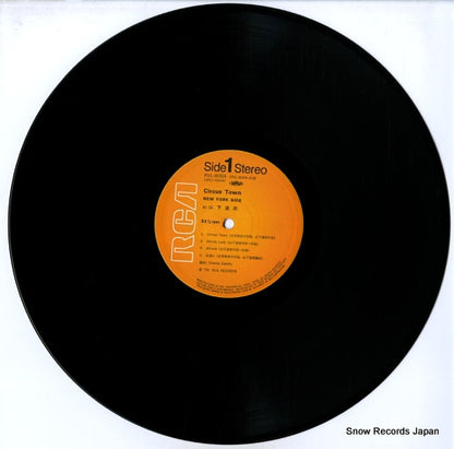 RVL-8004 disc