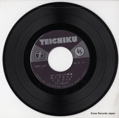 NEP-1047 disc