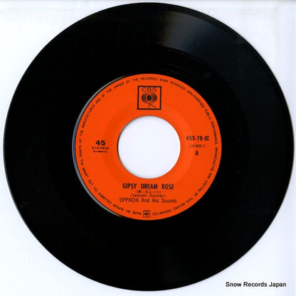 45S-79-JC disc