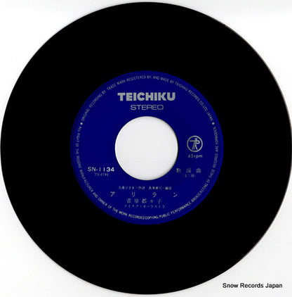 SN-1134 disc