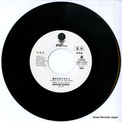 WTP-17249 disc