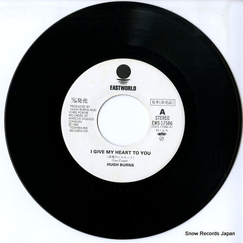 EWS-17586 disc