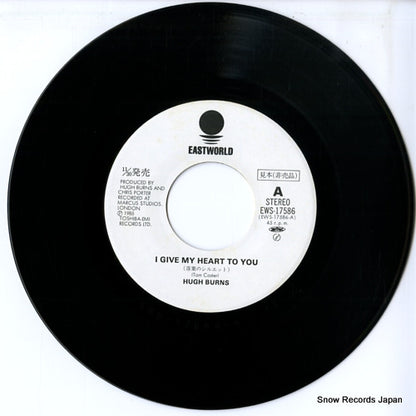 EWS-17586 disc