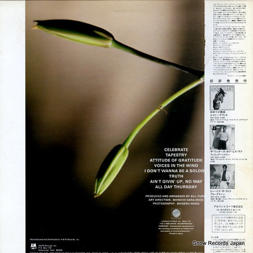 AMP-28142 back cover