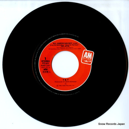 AMP-241 disc