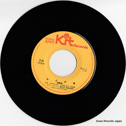 X-13 disc
