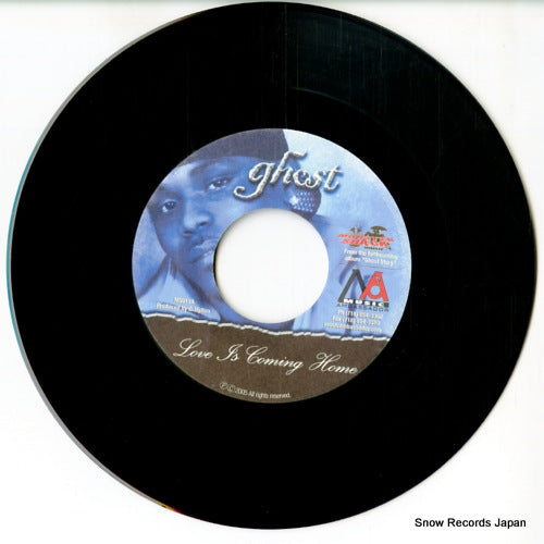 MS013 disc