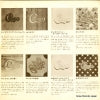SOPB217 back cover