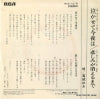 RVS-1019 back cover