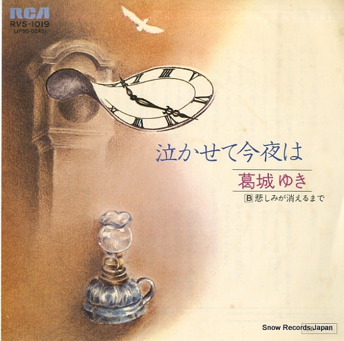 RVS-1019 front cover