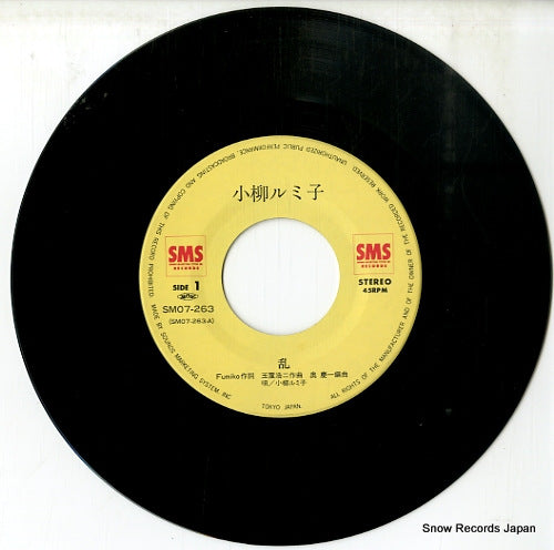 SM07-263 disc