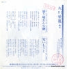 AH-411 back cover