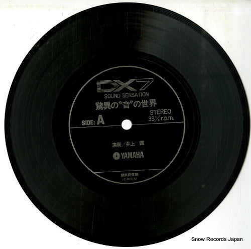 E-6675 disc