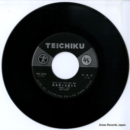 NS-234 disc