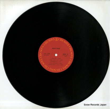 25AP1598 disc