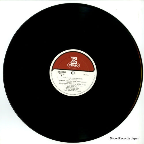 REM-1019-RE disc