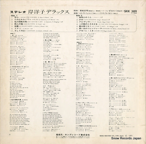 SKK389 back cover