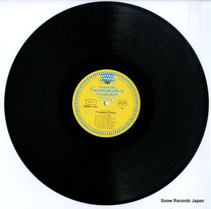 SLGM-1151 disc