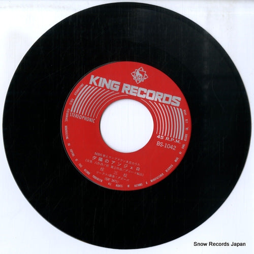 BS-1042 disc
