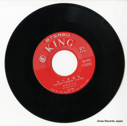 BS-493 disc