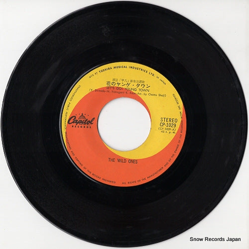 CP-1029 disc