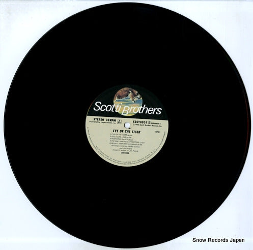 C25Y0024 disc