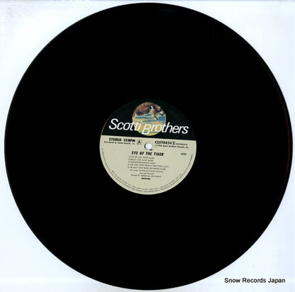 C25Y0024 disc