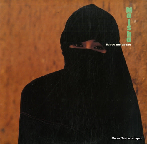 P-13111 front cover