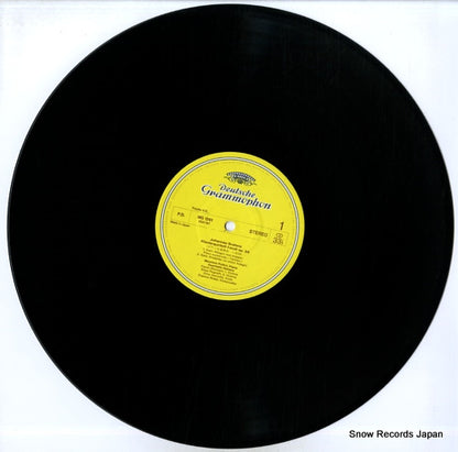 MG1261 disc