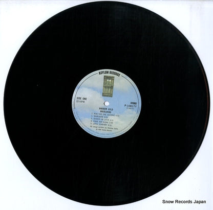 P-10817Y disc