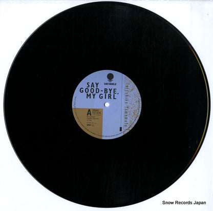 T12-1076 disc