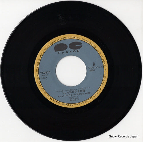 7A0525 disc