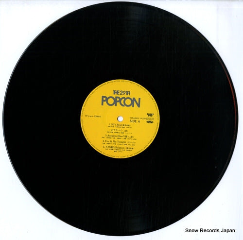 C28A8005 disc