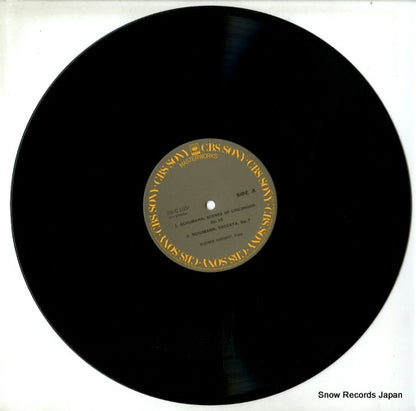20AC1604 disc